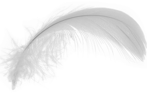 white-feather